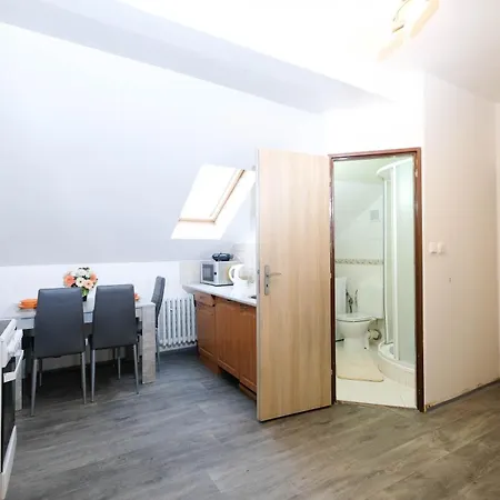 Alena - 卡罗维发利