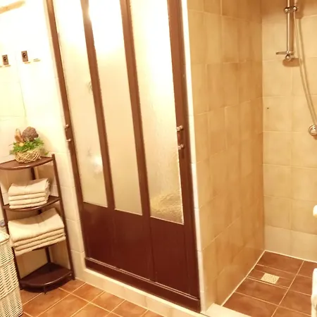 Alena - * 卡罗维发利